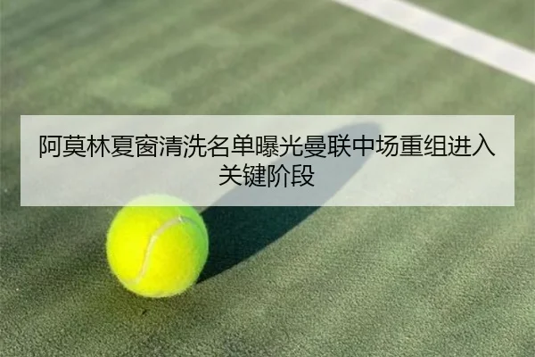 阿莫林夏窗清洗名单曝光曼联中场重组进入关键阶段